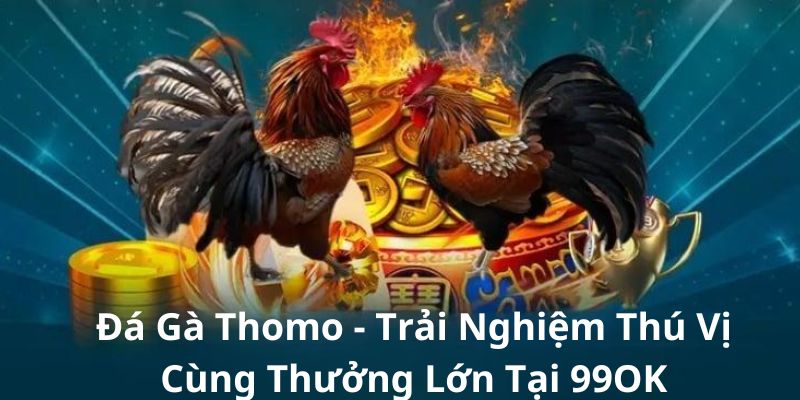 Đá Gà Thomo